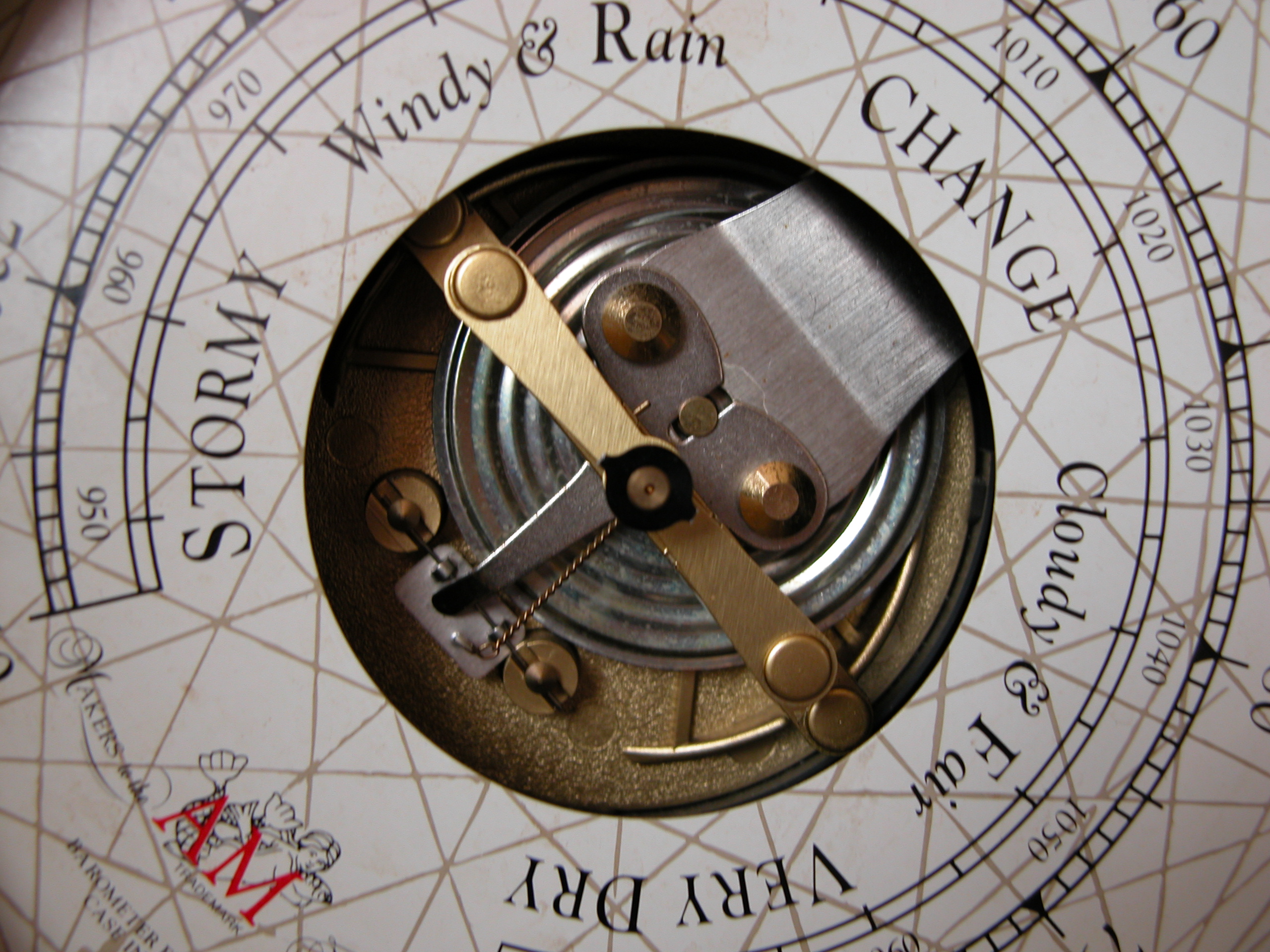 Adaptive Asset Management